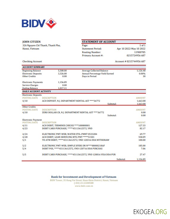 Relevé bancaire Vietnam BIDV, modèle Excel et PDF